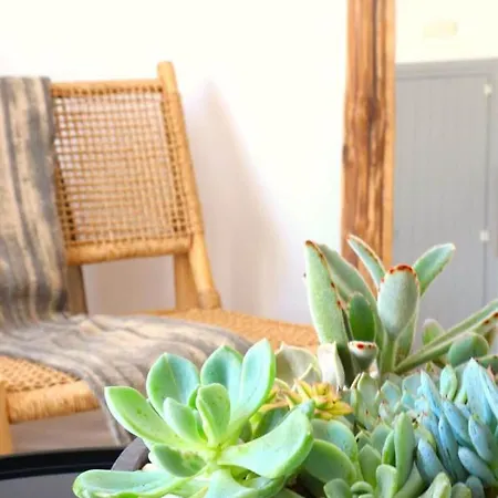 Thalia With Hot Tub And Sea View 阿吉奥斯普罗科皮奥斯