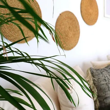 Thalia With Hot Tub And Sea View 公寓