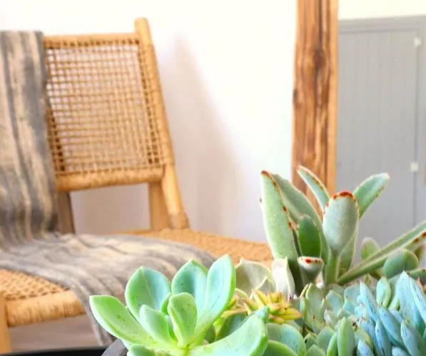 Thalia With Hot Tub And Sea View Agios Prokopios (Naxos)